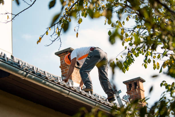 Quick and Trustworthy Emergency Roof Repair Services in Woodland Beach, MI