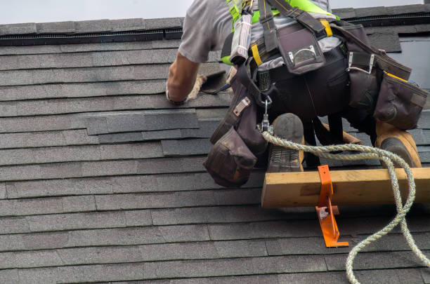 Best Roof Leak Repair  in Woodland Beach, MI