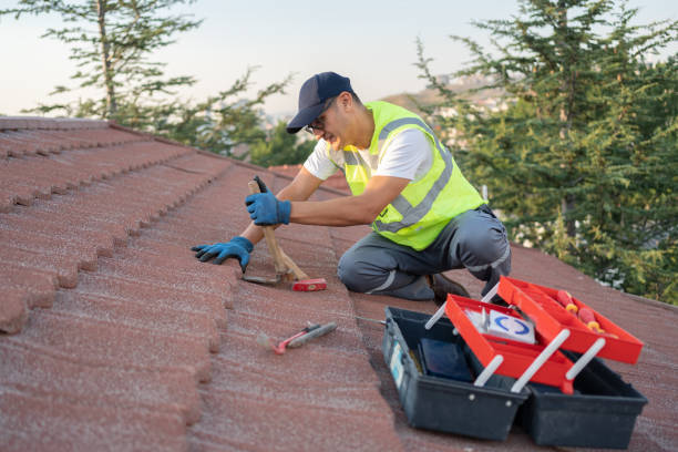 Best New Roof Installation  in Woodland Beach, MI