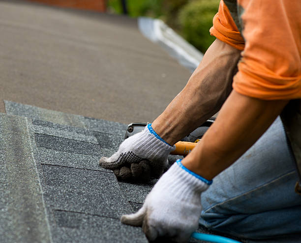 Best Affordable Roofing Company  in Woodland Beach, MI