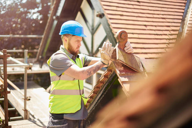 Best Local Roofing Companies  in Woodland Beach, MI