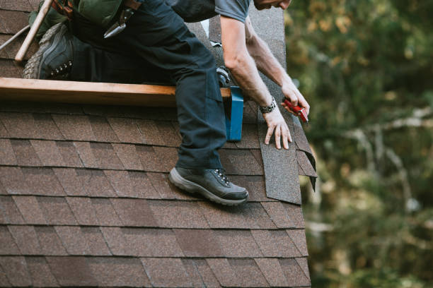 Professional Roofing Contractor in Woodland Beach, MI